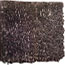 image10